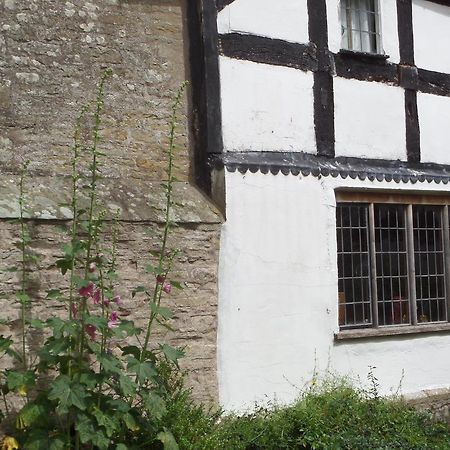 Walford Court Bed & Breakfast Leintwardine Exterior foto