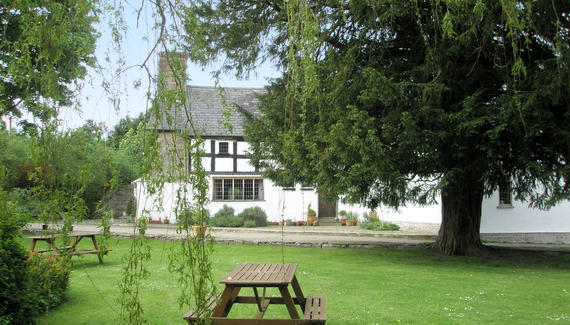 Walford Court Bed & Breakfast Leintwardine Exterior foto