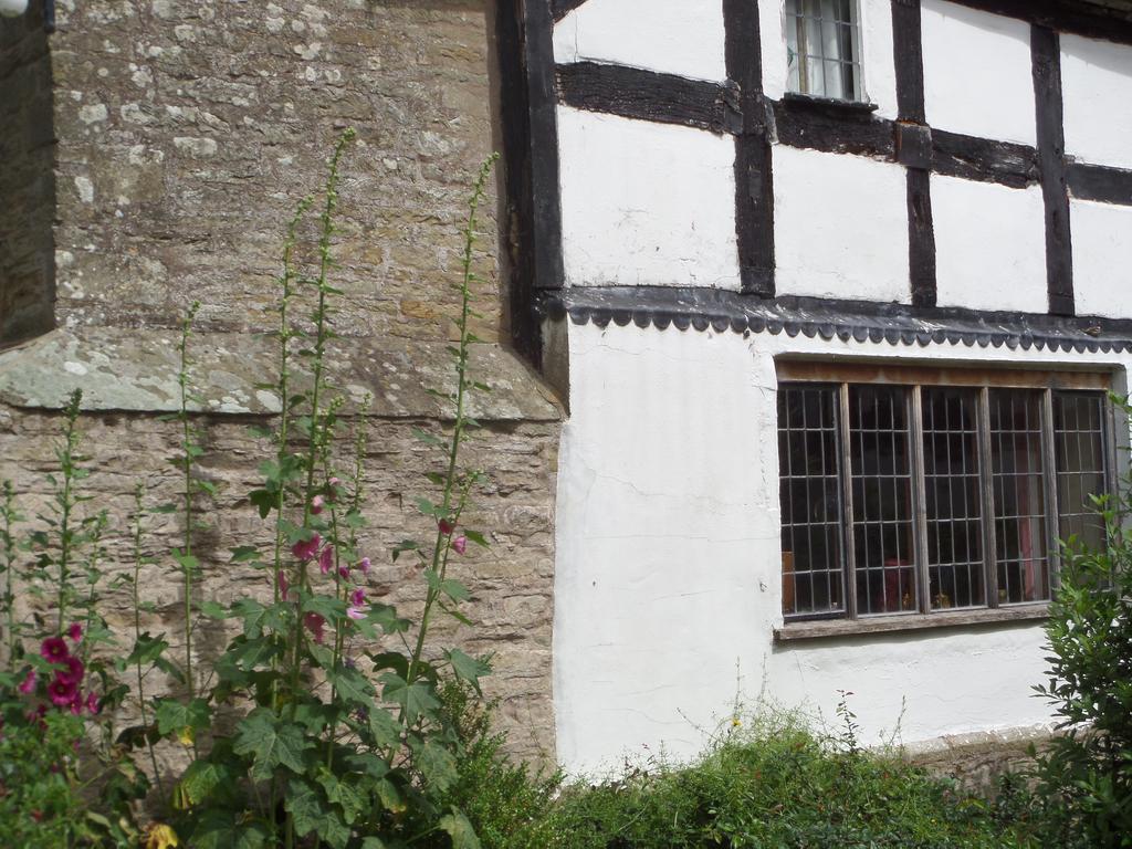 Walford Court Bed & Breakfast Leintwardine Exterior foto